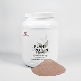 Plant Protein Chocolate 21g Protein, Muscle Recovery, Weight Management, And Digestive Support